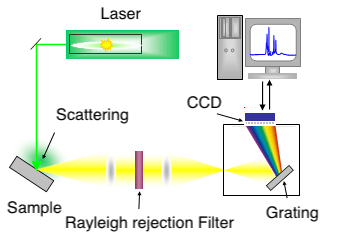 raman spectroscopy principles jasco principle spectrophotometer scattered