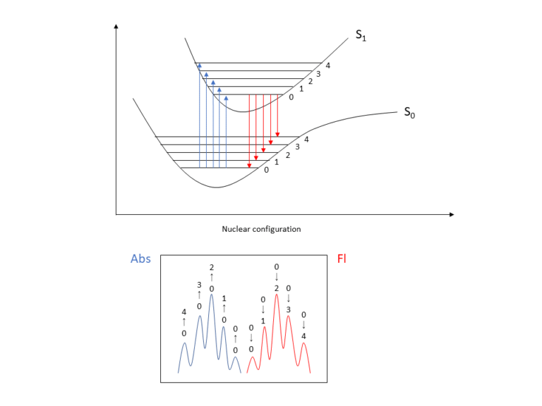 Principles of fluorescence spectroscopy (2) Features of fluorescence