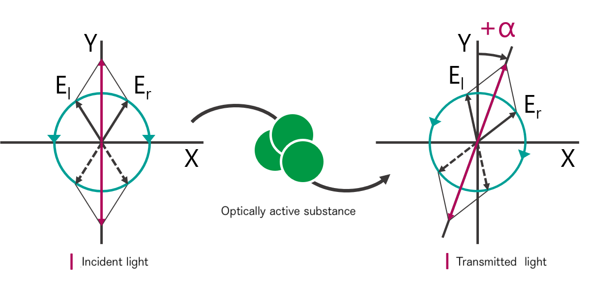 Principles of CD/ORD (1) Principles of Circular Dichroism and Optical