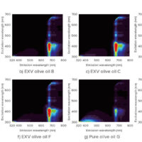 High-Speed Excitation Emission Matrix Measurement of Olive Oil