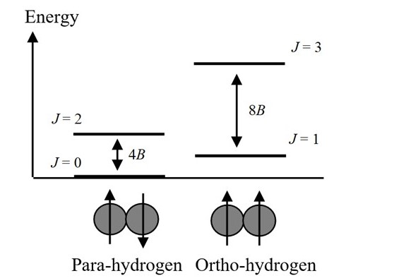 Determination Of Ortho And Para Hydrogen Ratio By Using Raman Spectroscopy Jasco Global