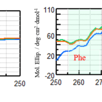 Evaluation of HOS identity about VHH antibody binding to novel coronavirus using circular dichroism spectrometer