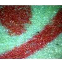 Discernment of the vermillion ink by Raman spectroscopy
