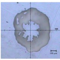 Distribution Estimation of Polymorphism of Coral Skeleton Component by Mapping Measurement