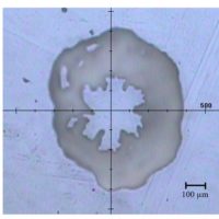 Distribution Estimation of Polymorphism of Coral Skeleton Component by Mapping Measurement
