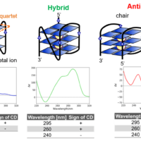 Structure Evaluation of G-quadruplex aptamers Using High-Throughput CD Measurement System and Principal Component Analysis