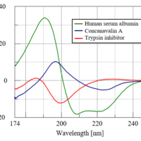 CD Measurement of Protein Water Solution in Vacuum UV Region