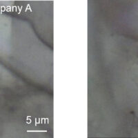 Identification and discrimination of the components in eye shadow by Raman micro-spectroscopy