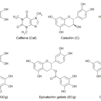 Analysis of Catechins and Caffeine in Green Tea