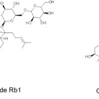 Semi-preparative Separation of Ginsenoside in Ginseng
