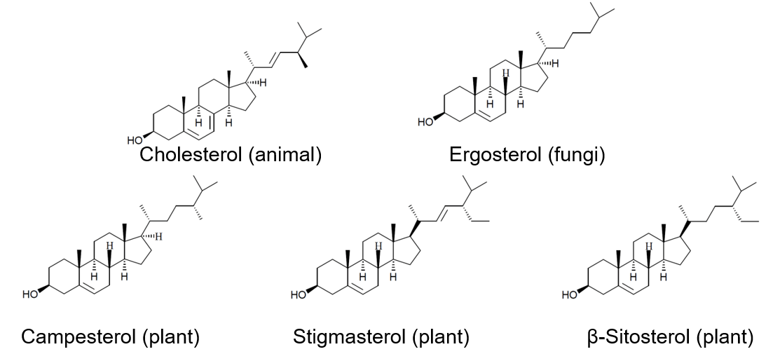 Analysis Of Sterols By UHPLC JASCO Global analysis-of-sterols-by-uhplc-jasco-global