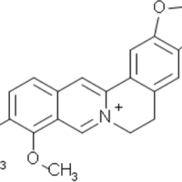 Semi-preparative Separation of Berberine in Coptis Japonica