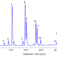 Analysis of amino acids using on-line pre-column derivatization with OPA