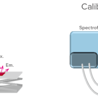 Remote fluorescence measurement using optical fiber