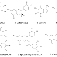 High Speed Separation of Catechins by UHPLC-PDA