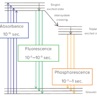 Phosphorescence measurement