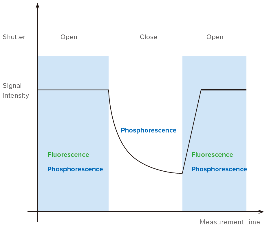 Phosphorescence measurement