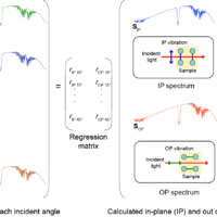 p-Polarized MAIRS – Multiple Angle Incident Angle Resolution Spectroscopy