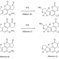 Analysis of Total Aflatoxins by HPLC and UHPLC