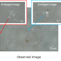 Analysis of Microplastics by Raman spectroscopy