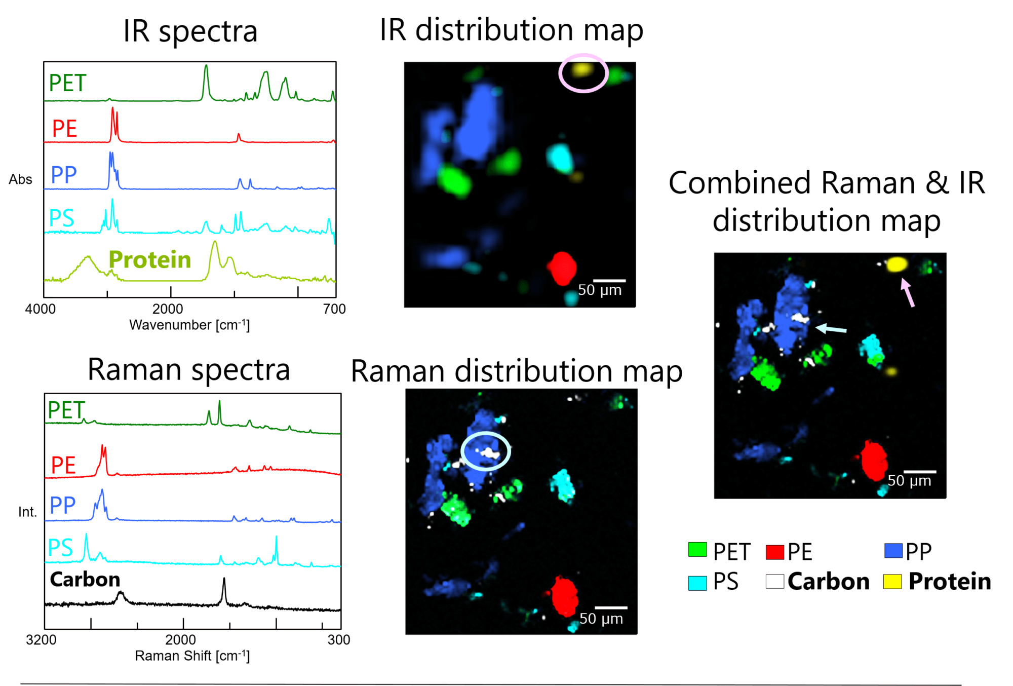 Development of a New Unique Concept for Accurate Sample Measurement across Different Microscope