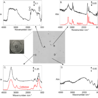 Analysis of pollen collected by Durham sampler method using infrared microscope and particle size & shape analysis software