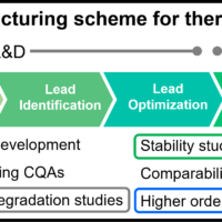 Higher Order Structure, Stability, and Similarity Assessment of VHH Antibodies Using CD Spectroscopy